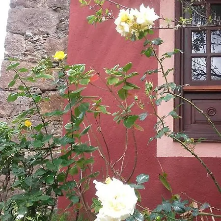 Casa Rural El Cabezo Vallehermoso Exterior photo